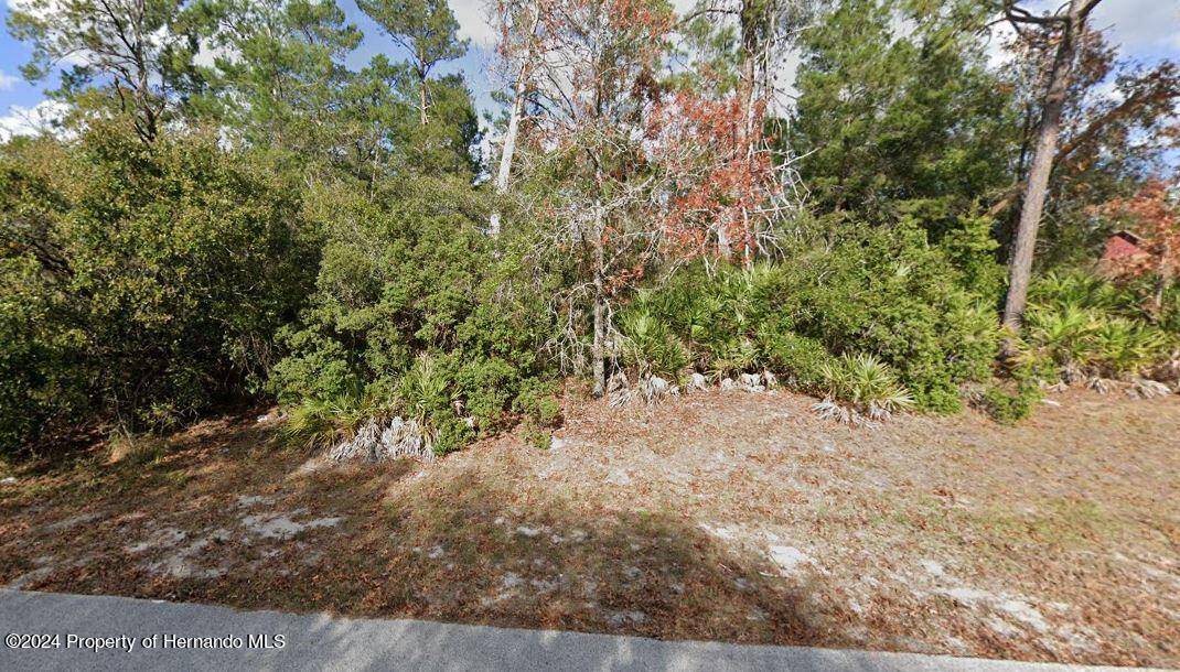 Spring Hill, FL 34606,8477 Beachwood Ct Lot 2