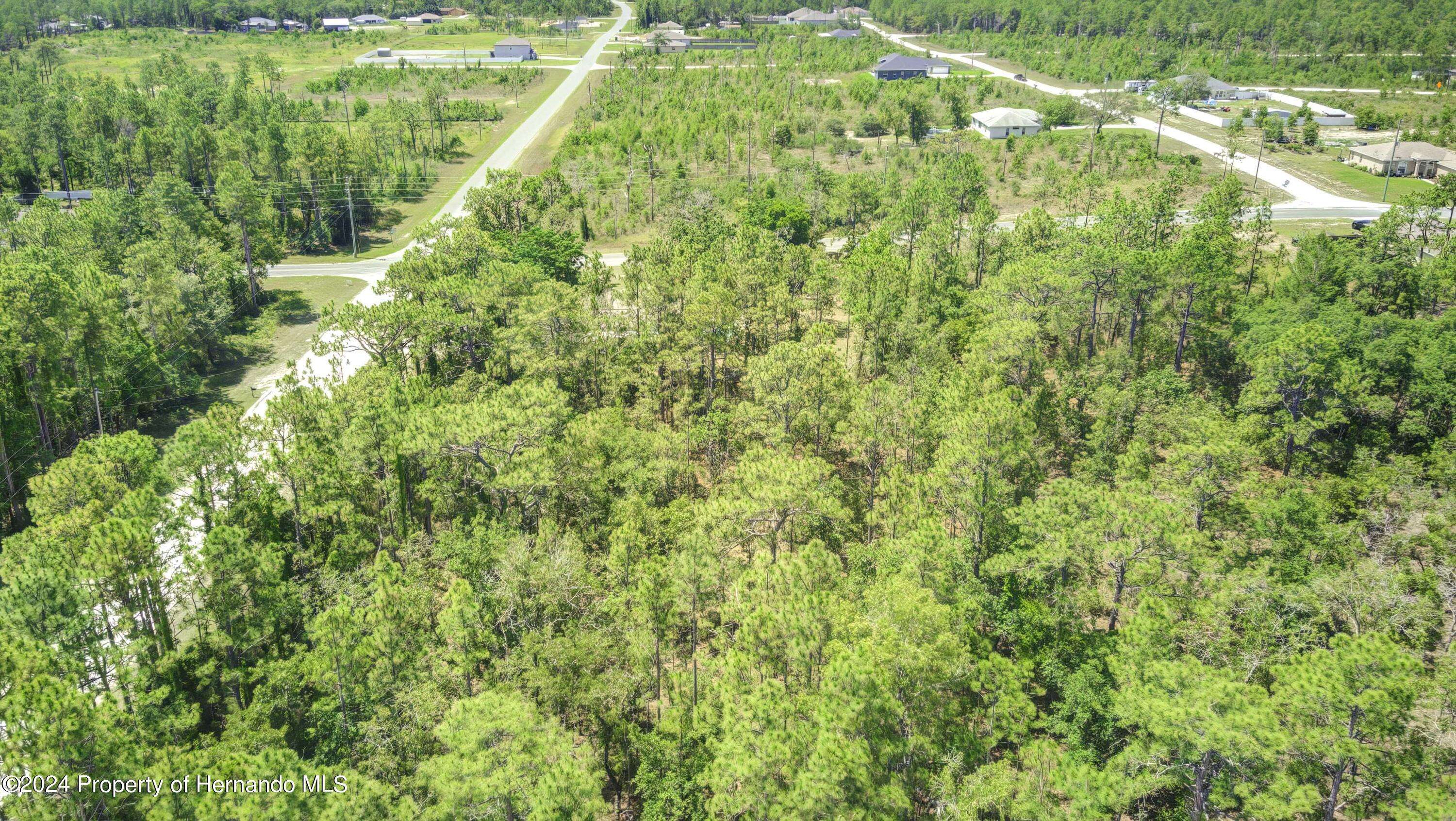 Weeki Wachee, FL 34614,1 Pomp Pkwy