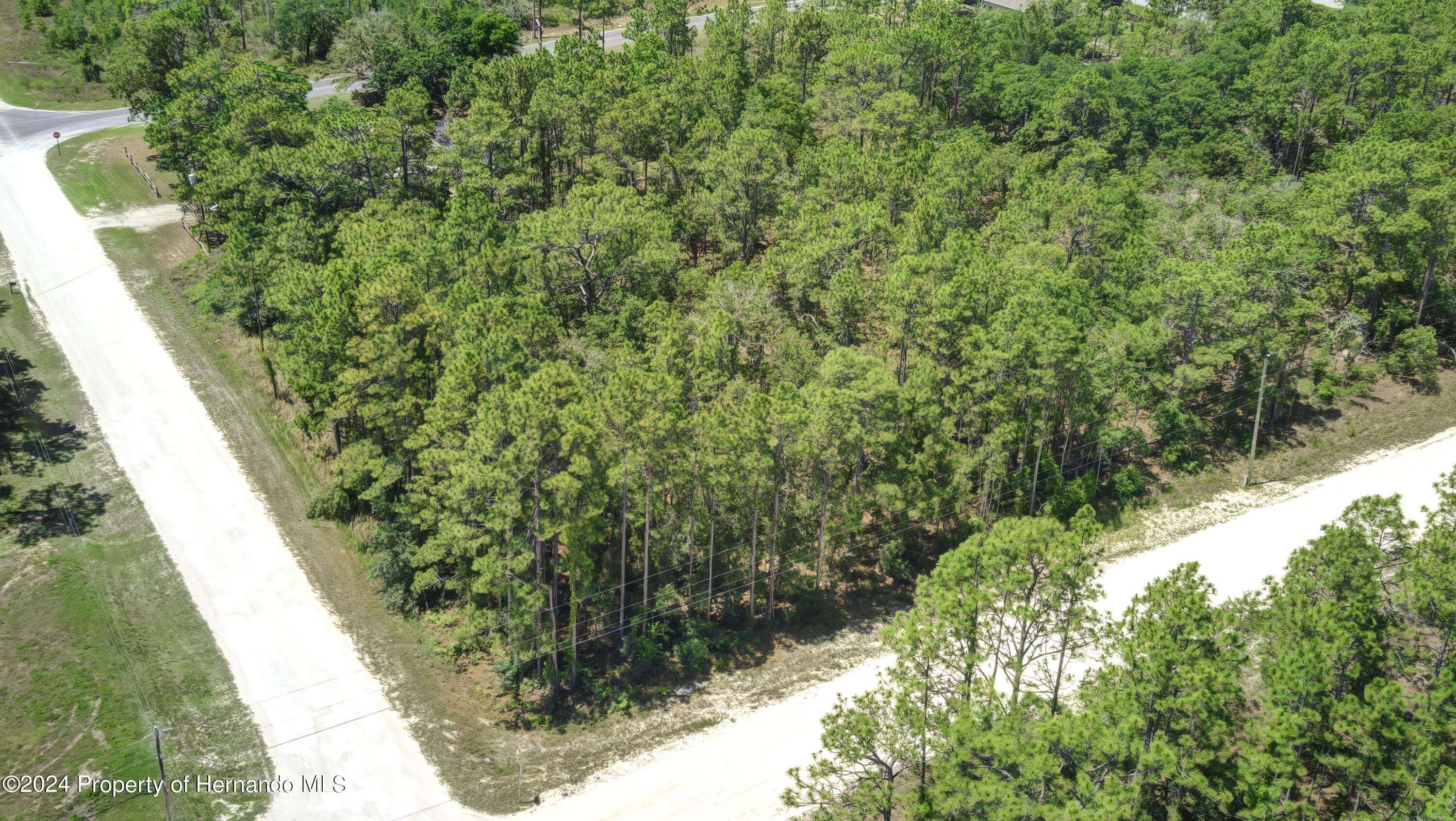 Weeki Wachee, FL 34614,2 Velvet Scoter