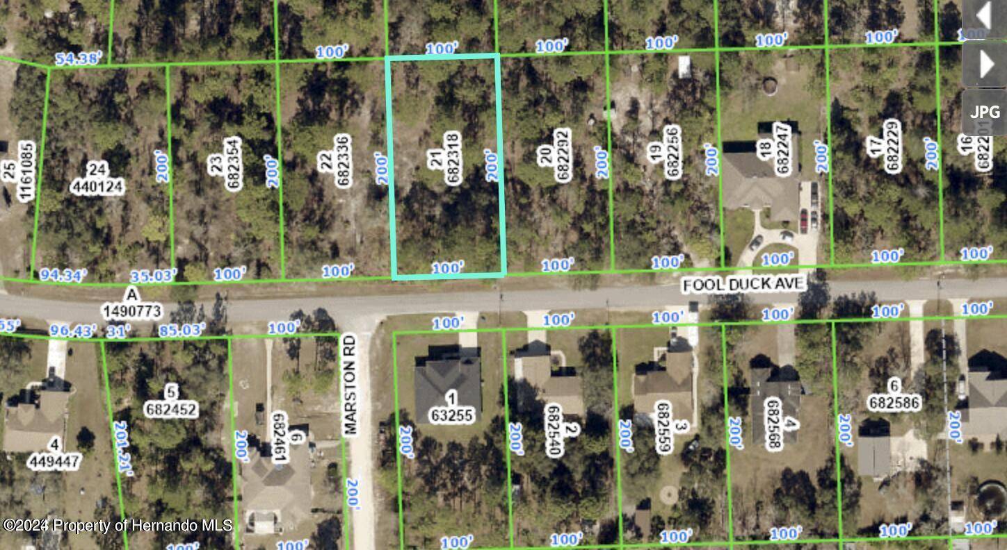 Weeki Wachee, FL 34613,11277 Fool Duck Avenue