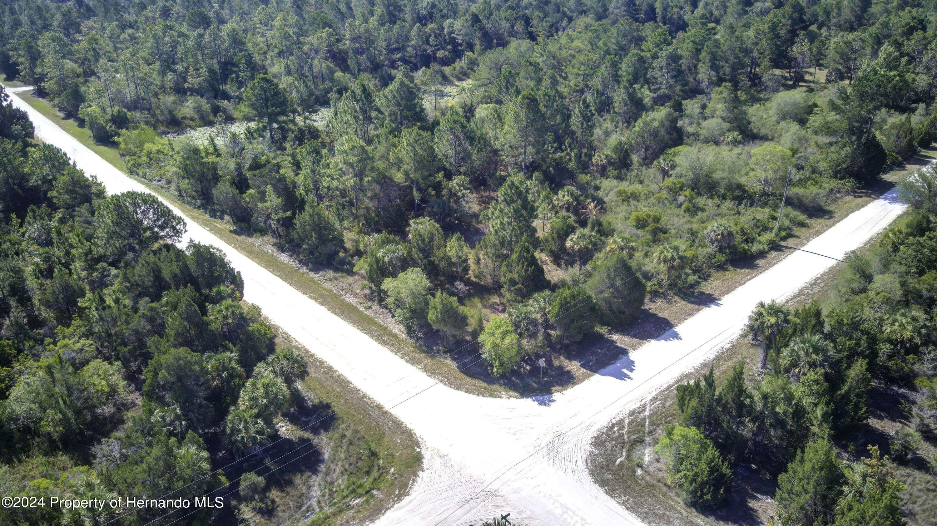 Weeki Wachee, FL 34614,Yellowbird Avenue