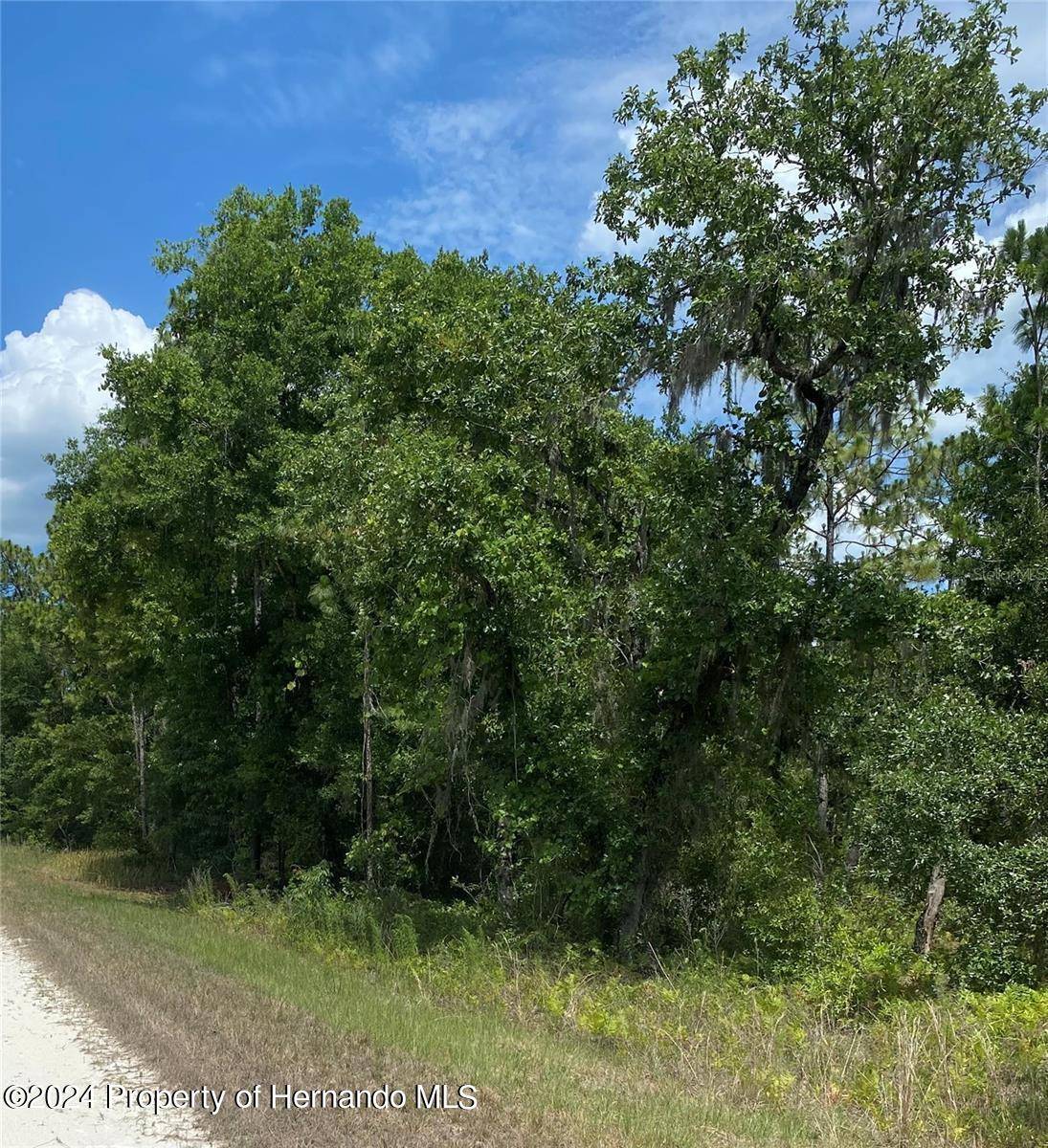 Weeki Wachee, FL 34614,Sooty Tern lot 3 Avenue