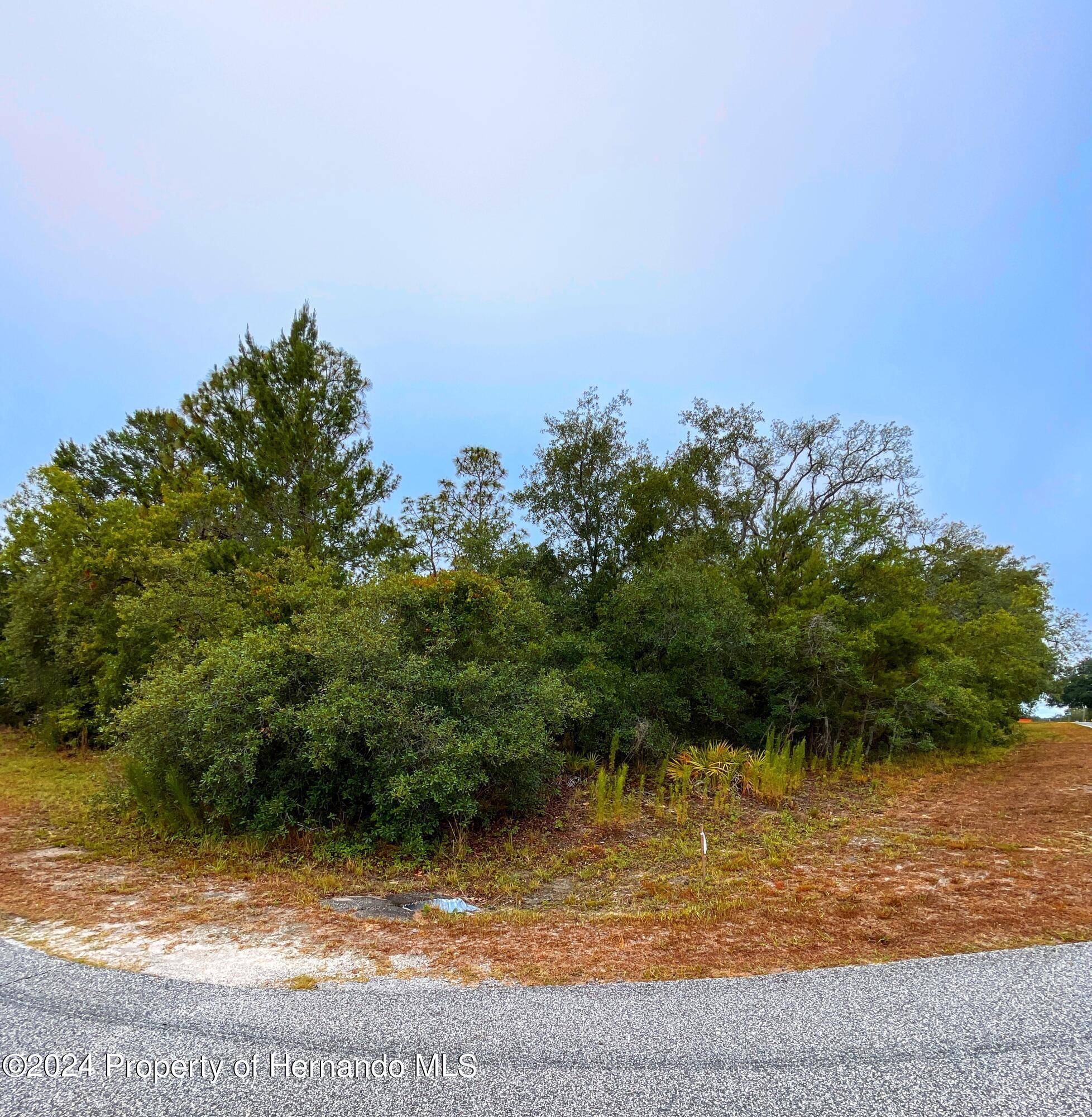 Weeki Wachee, FL 34613,8453 CHRISTOPHER Lane