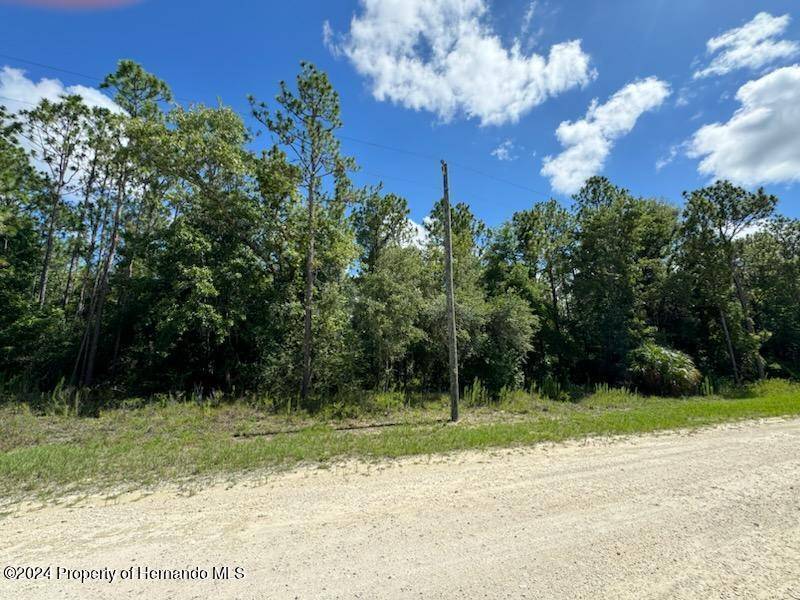 Brooksville, FL 34614,15 Red Marlin Avenue