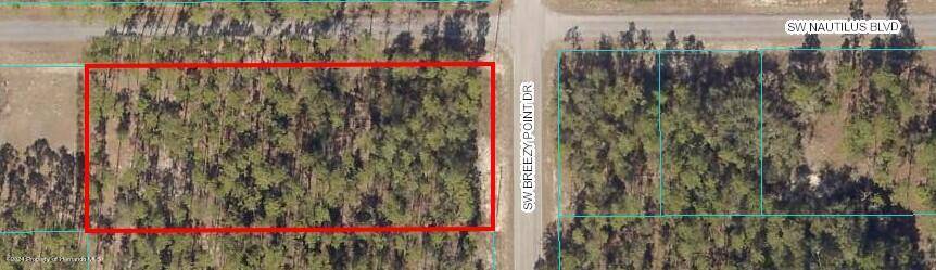 Dunnellon, FL 34431,SW Breezy Point