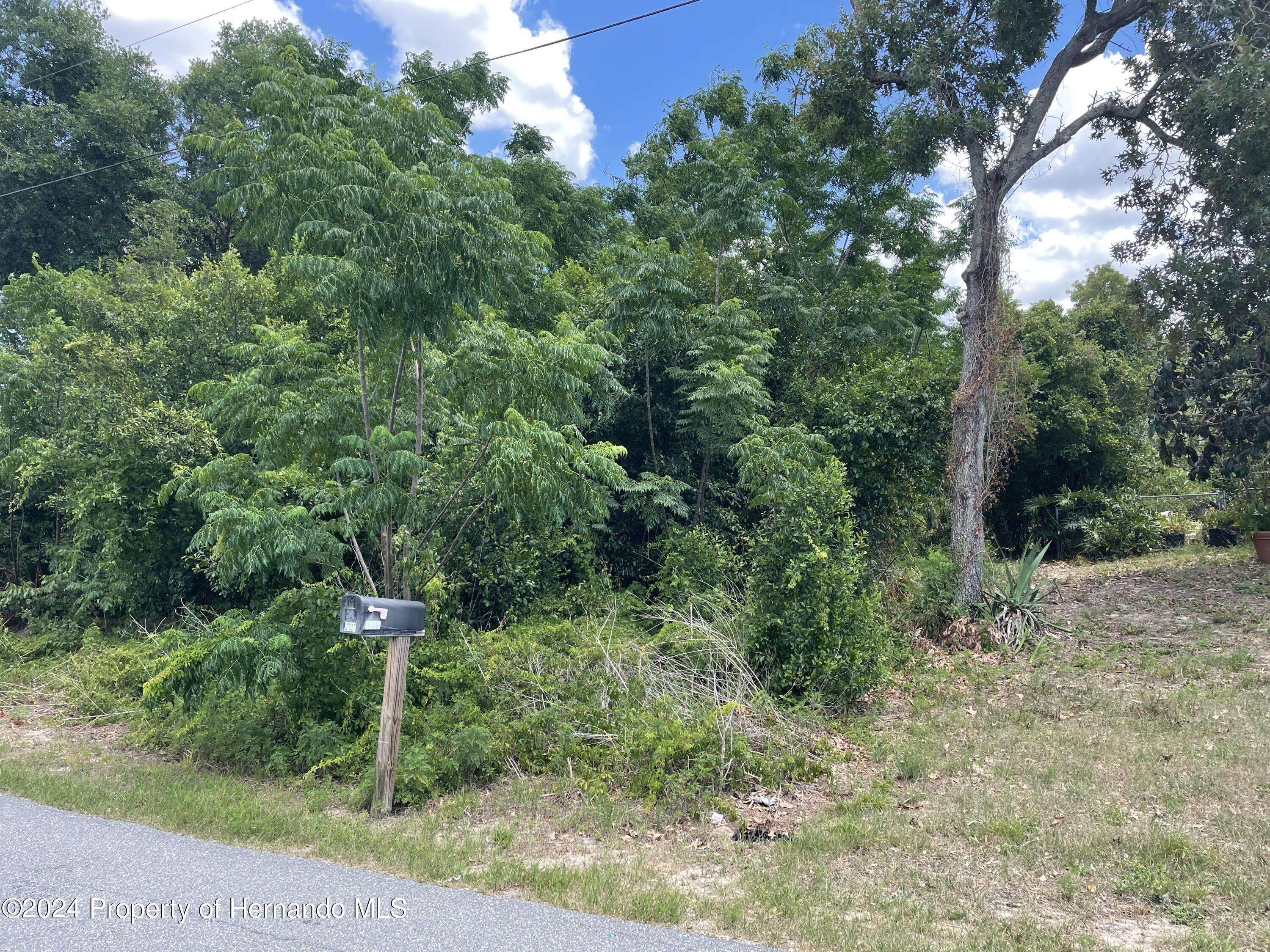 Spring Hill, FL 34609,11240 Allwood Street