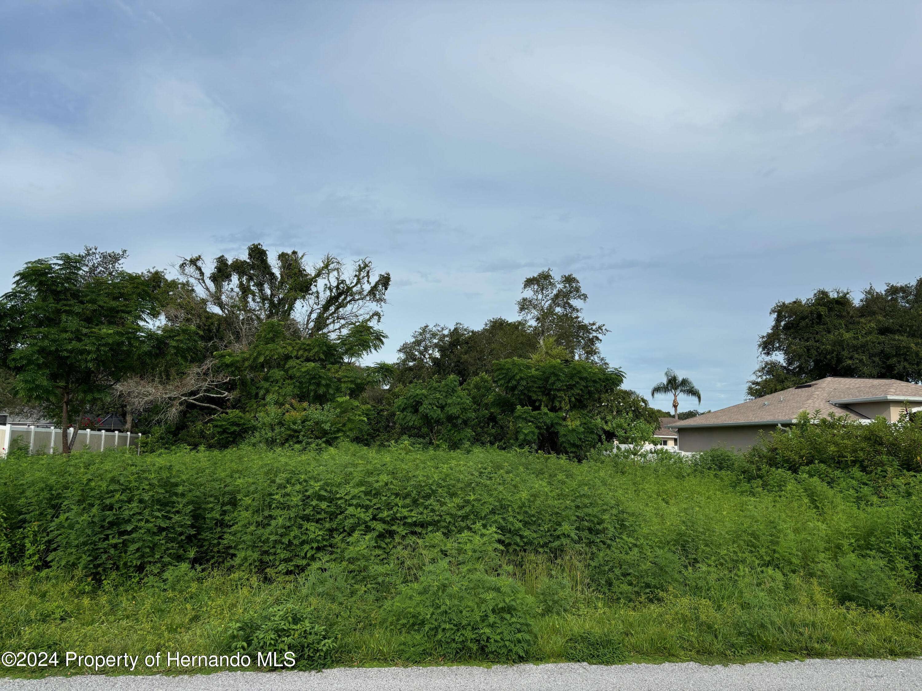 Spring Hill, FL 34608,17 Channing Avenue
