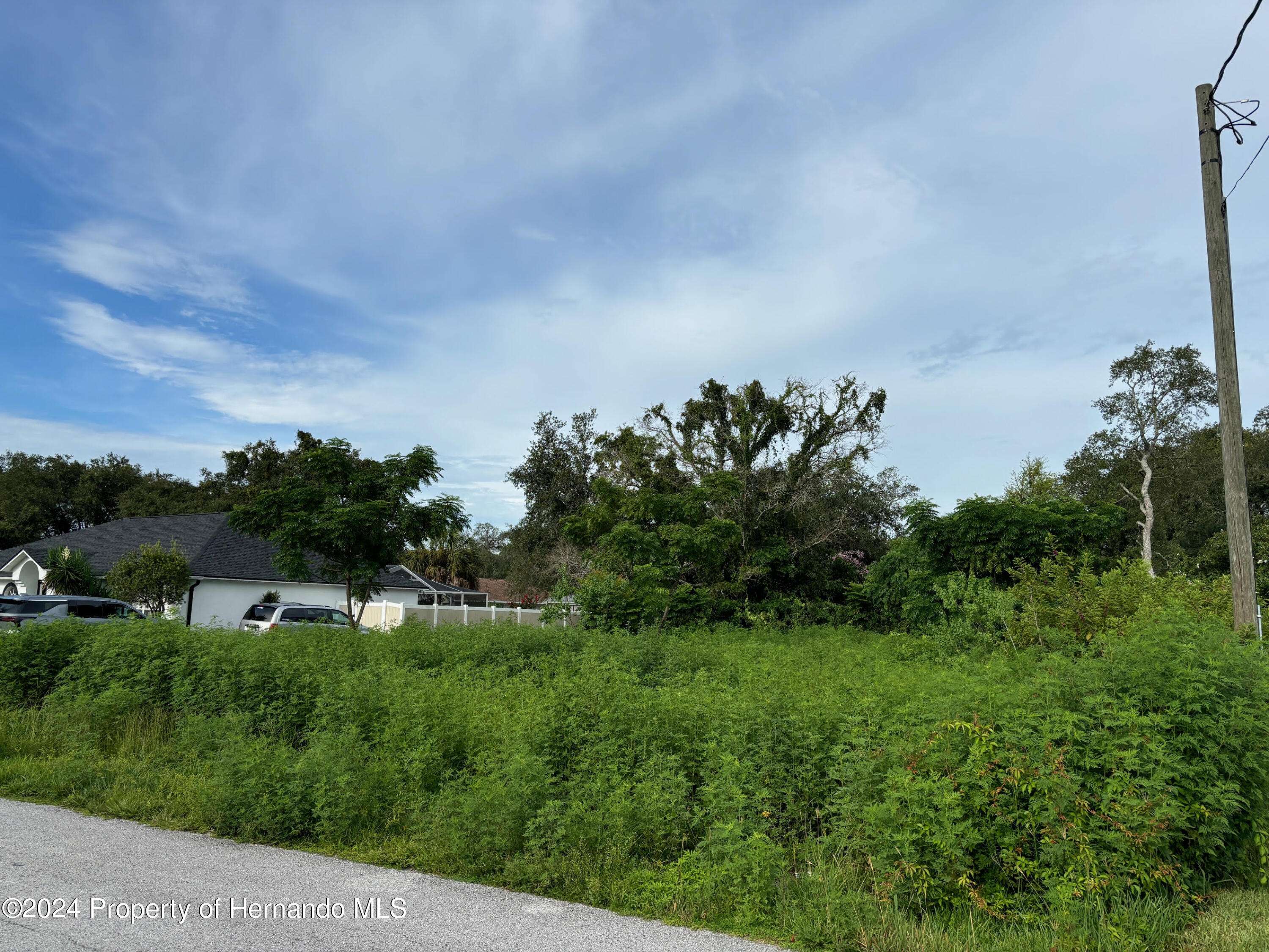 Spring Hill, FL 34608,17 Channing Avenue