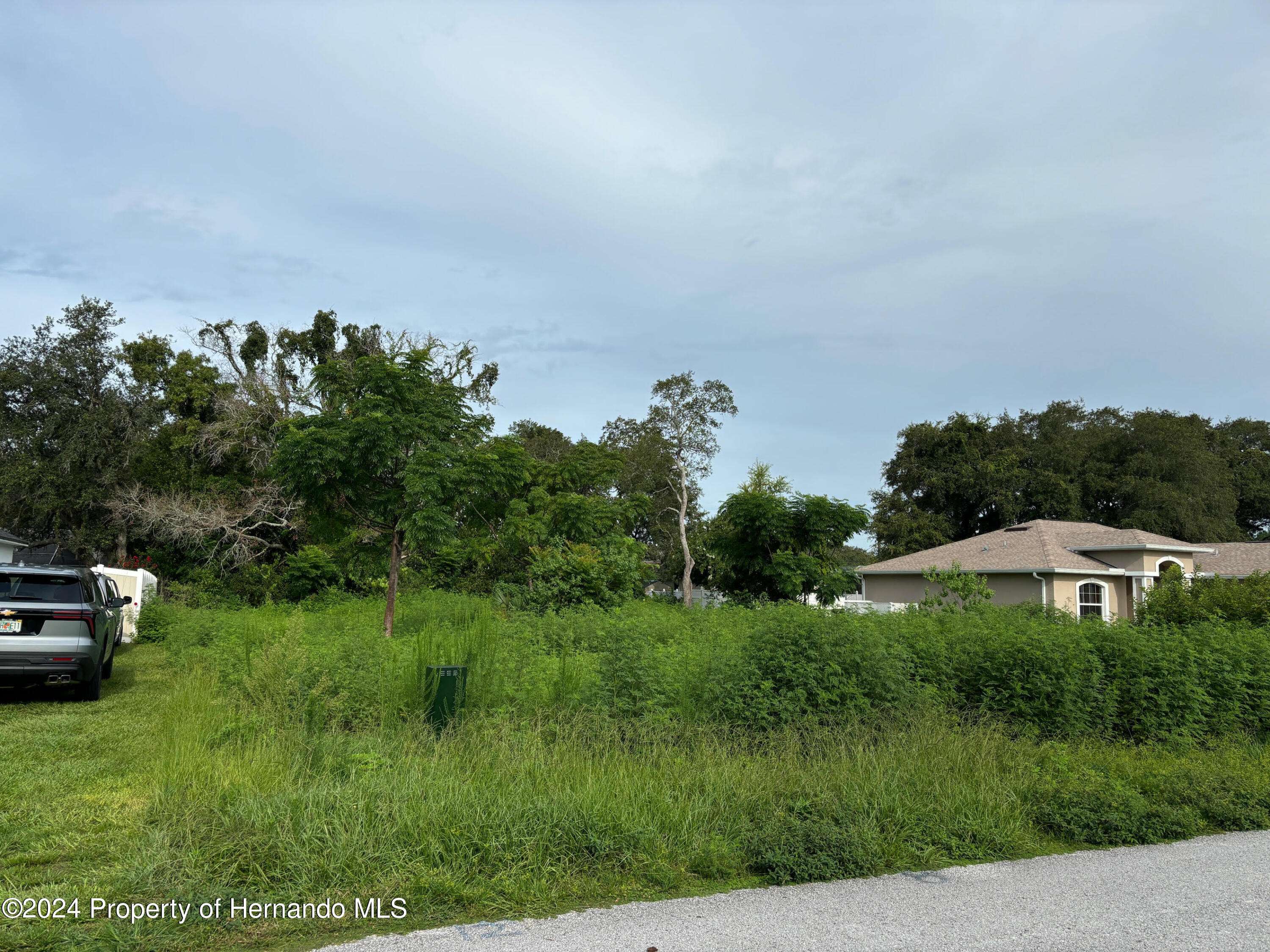 Spring Hill, FL 34608,17 Channing Avenue