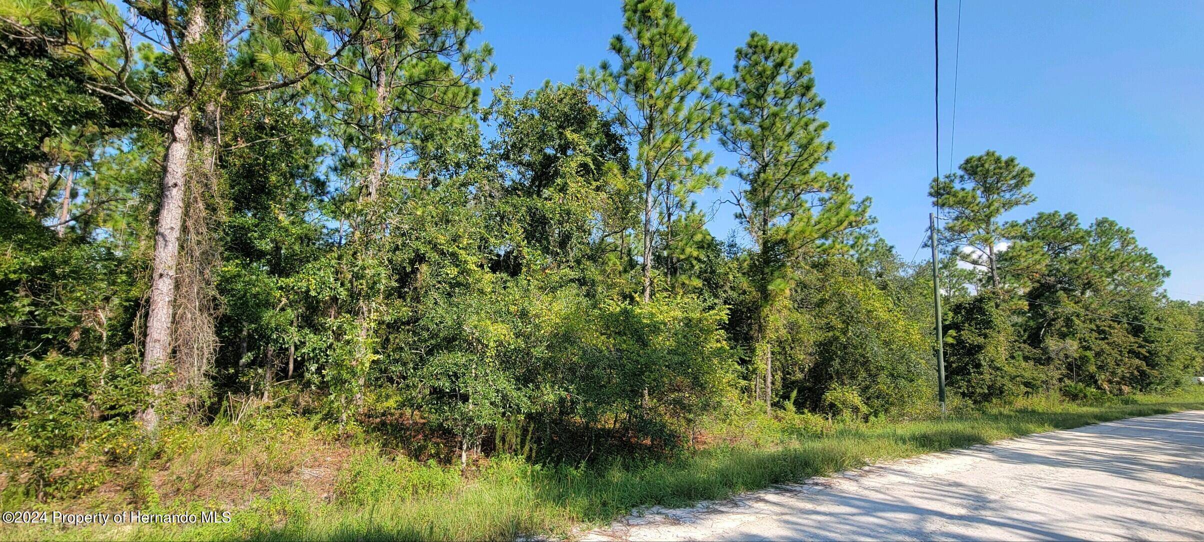 Weeki Wachee, FL 34614,15375 Coot Road