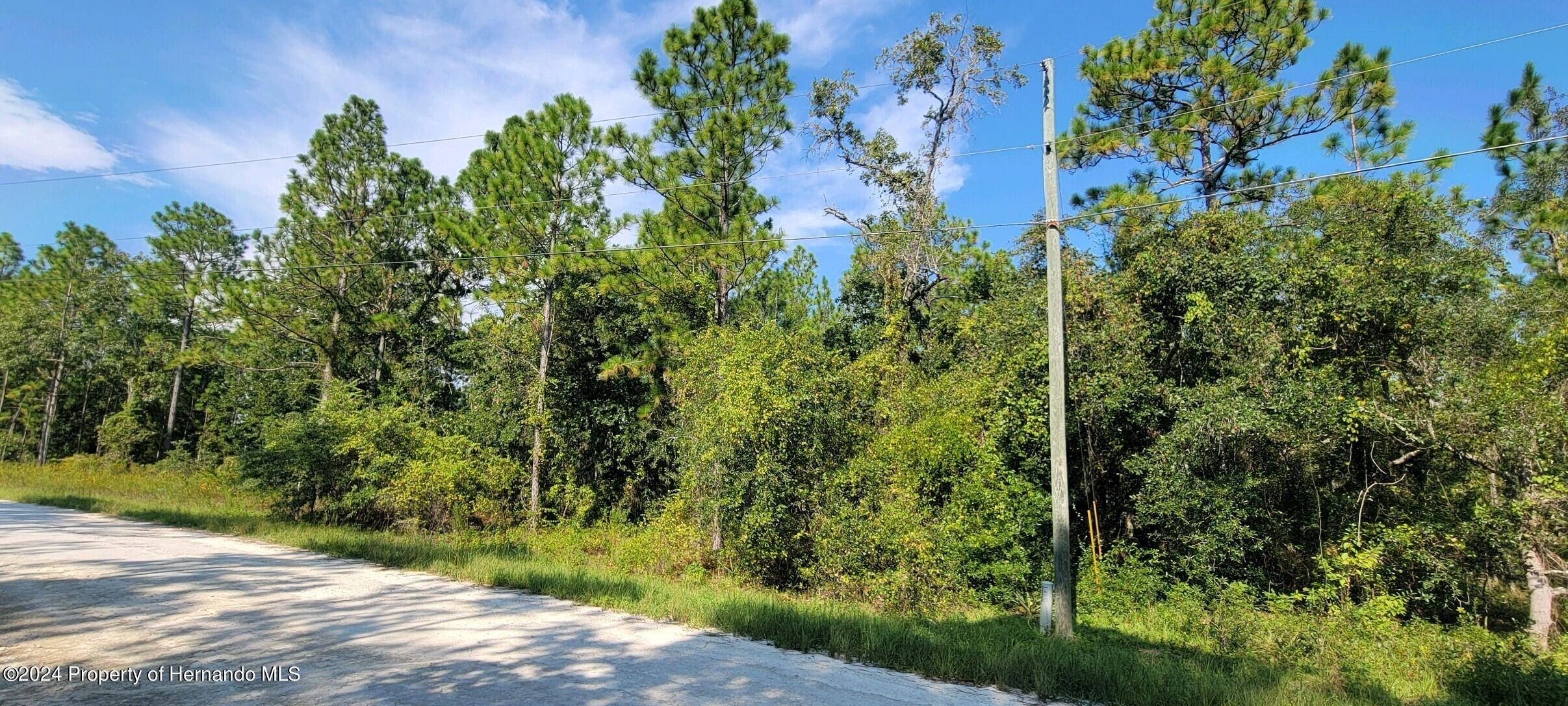 Weeki Wachee, FL 34614,15375 Coot Road