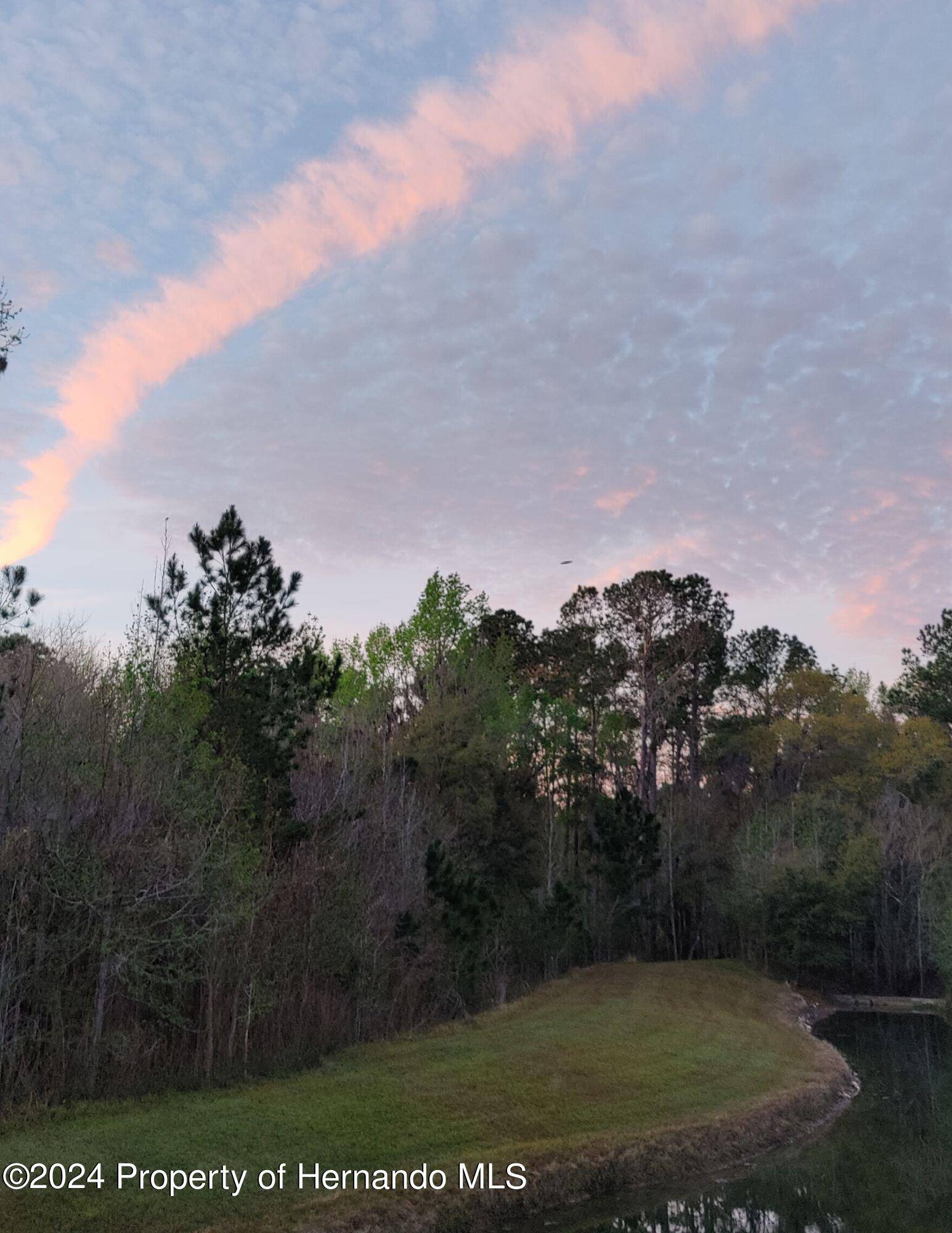 Brooksville, FL 34601,19393 Fort King Run