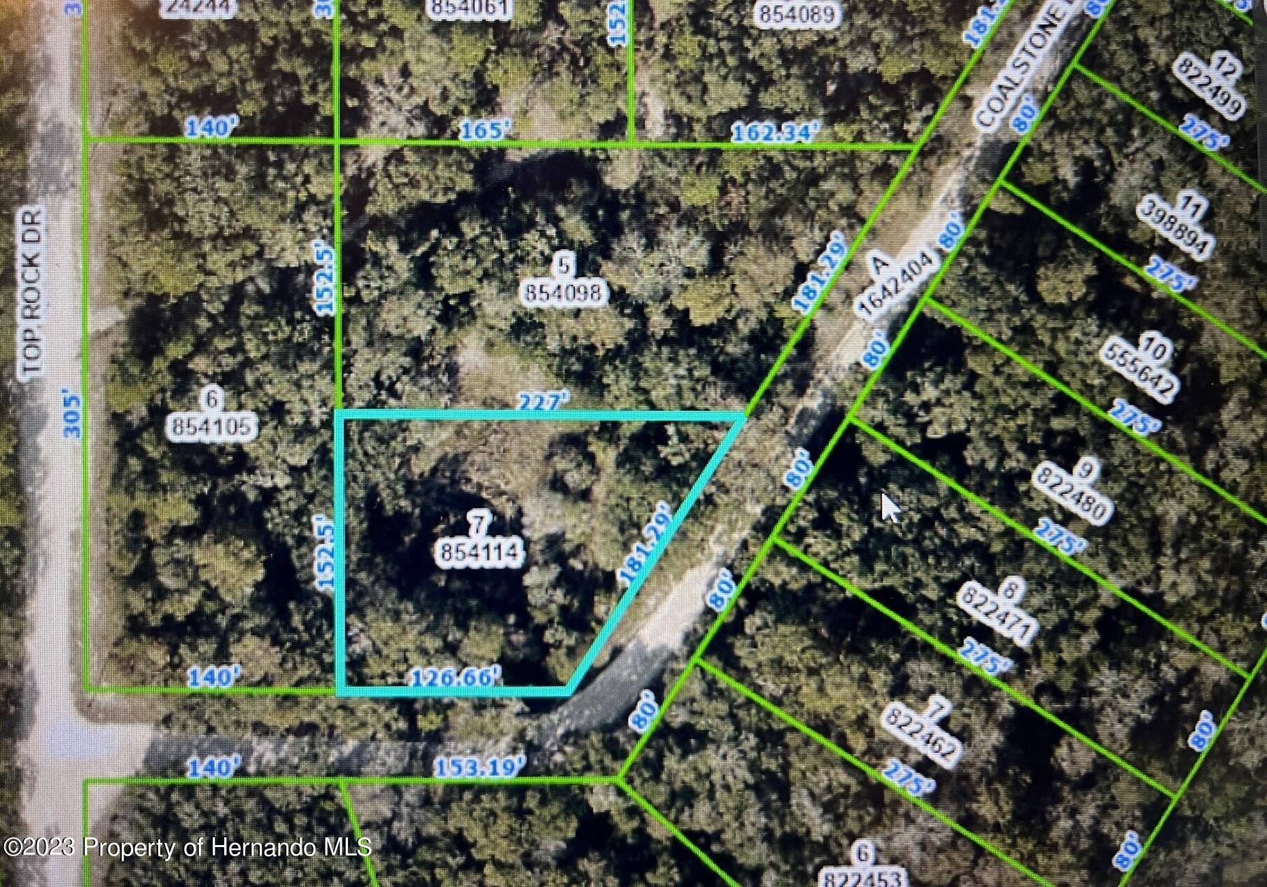 Webster, FL 33597,7 Coalstone Drive