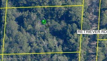 Brooksville, FL 34614,19025 Retriever Road