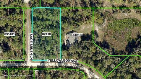 Weeki Wachee, FL 34614,Sage Brush Lane