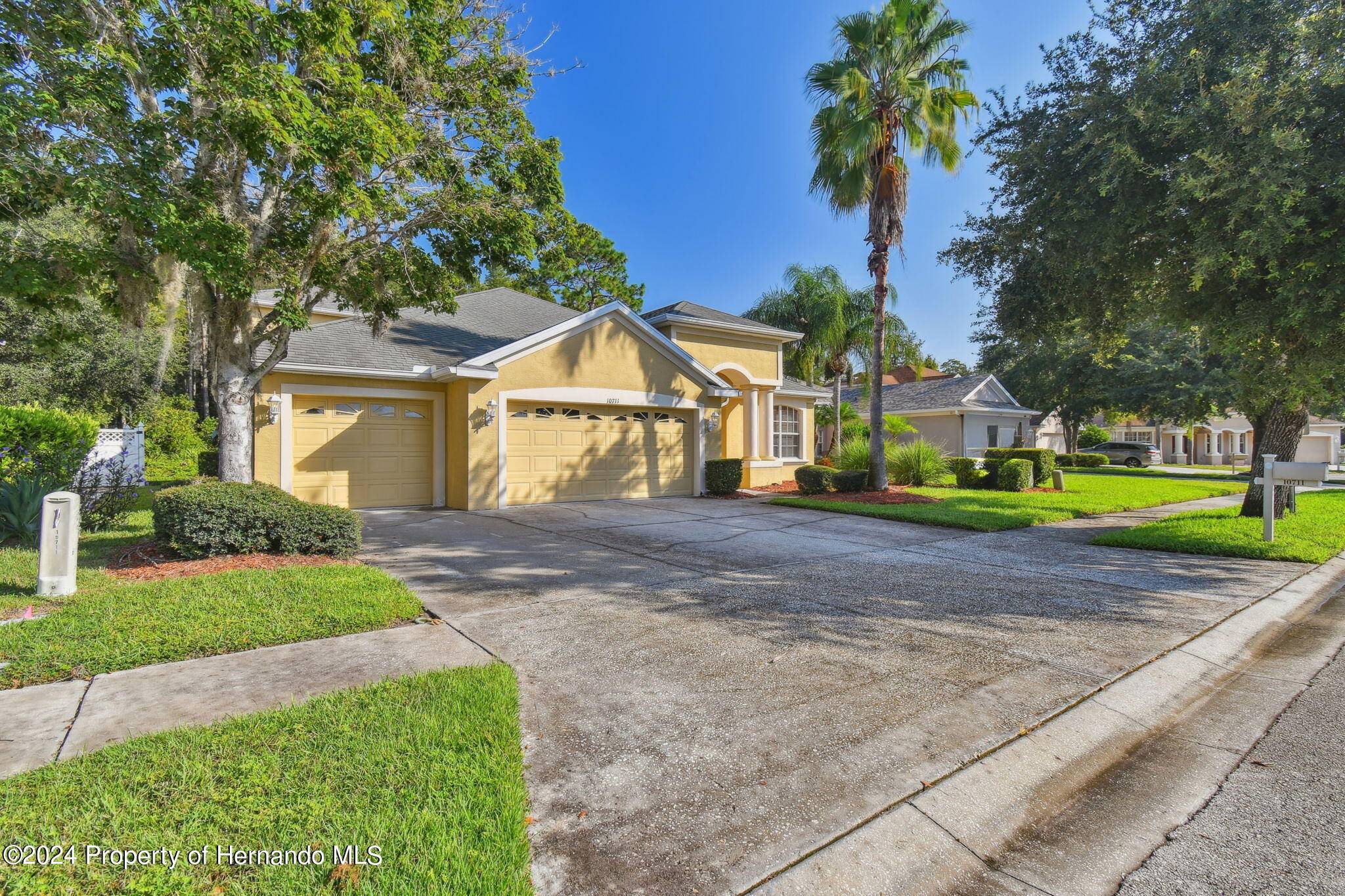 Land O' Lakes, FL 34638,10711 PEARL BERRY Loop