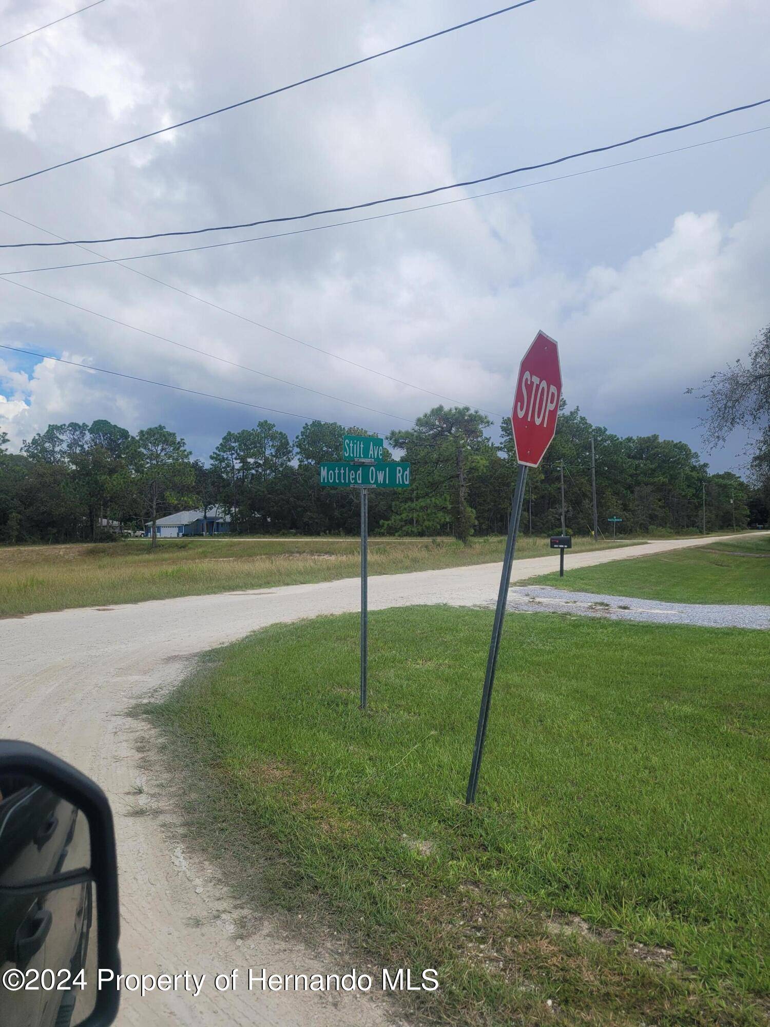 Weeki Wachee, FL 34614,15435 mottled owl Road