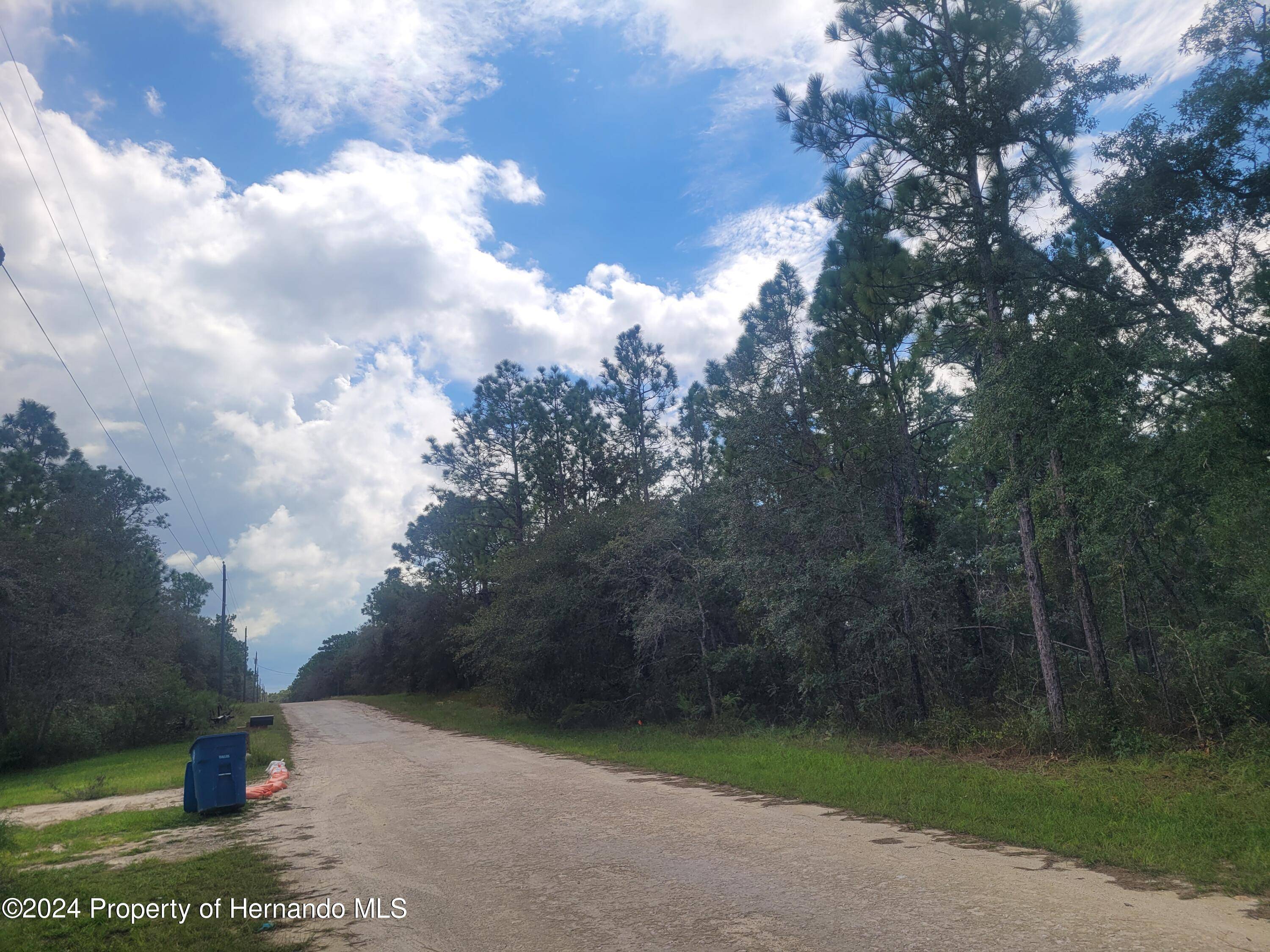 Weeki Wachee, FL 34614,15435 mottled owl Road