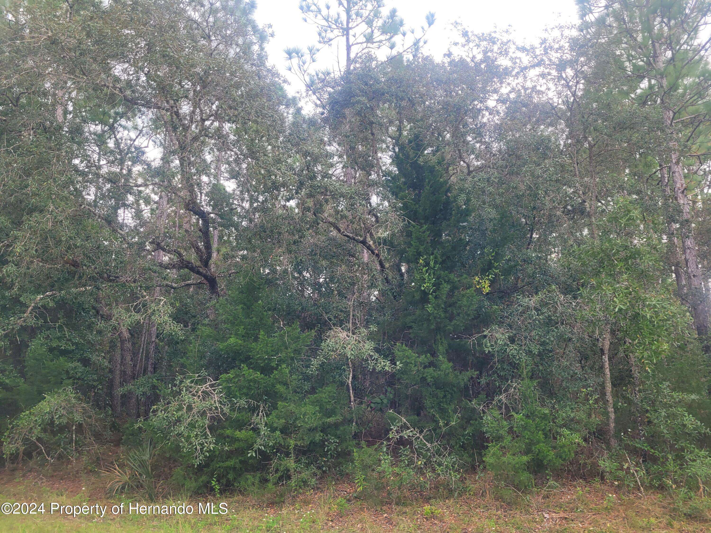 Weeki Wachee, FL 34614,13166 charlton Drive