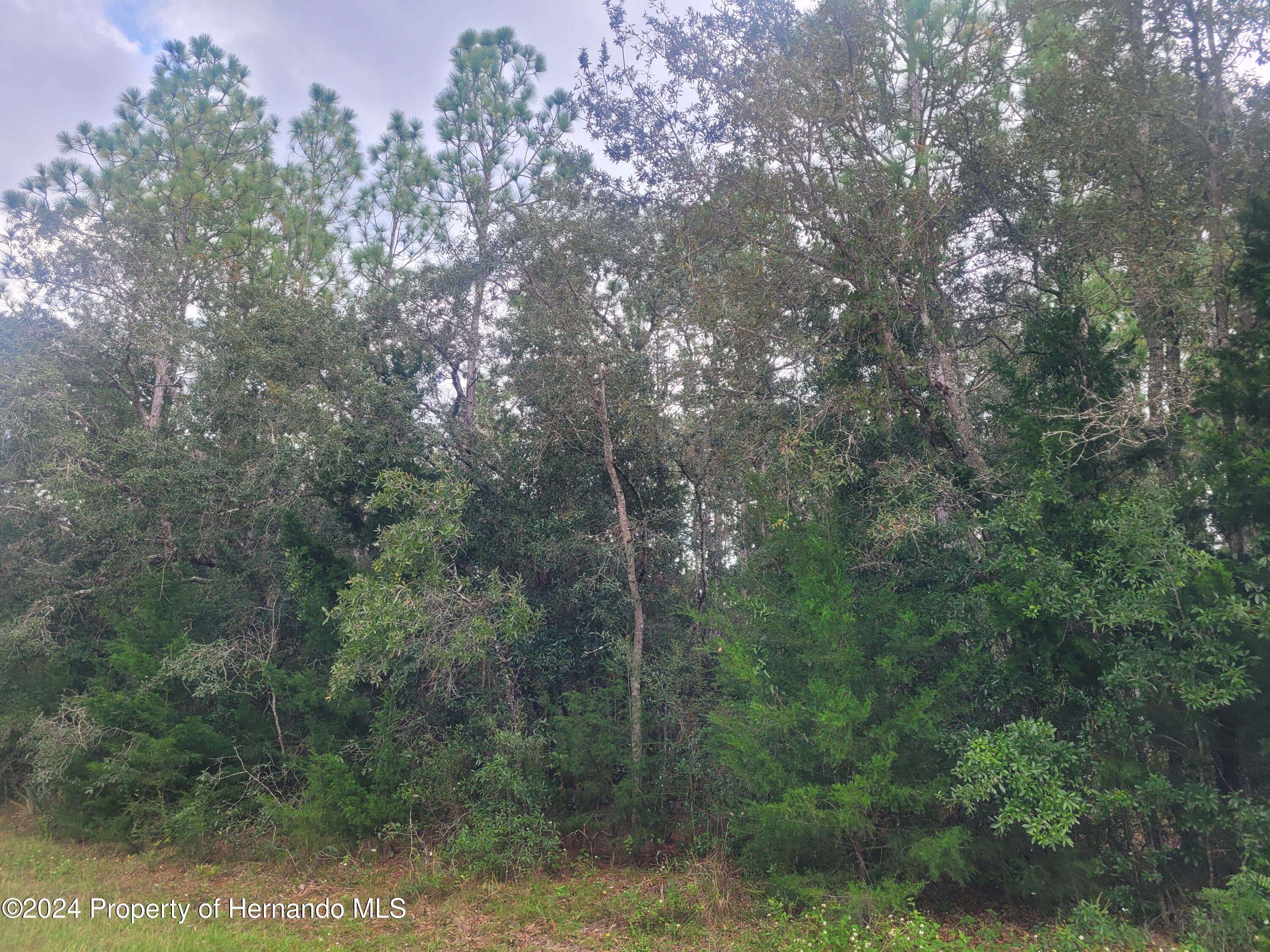 Weeki Wachee, FL 34614,13166 charlton Drive