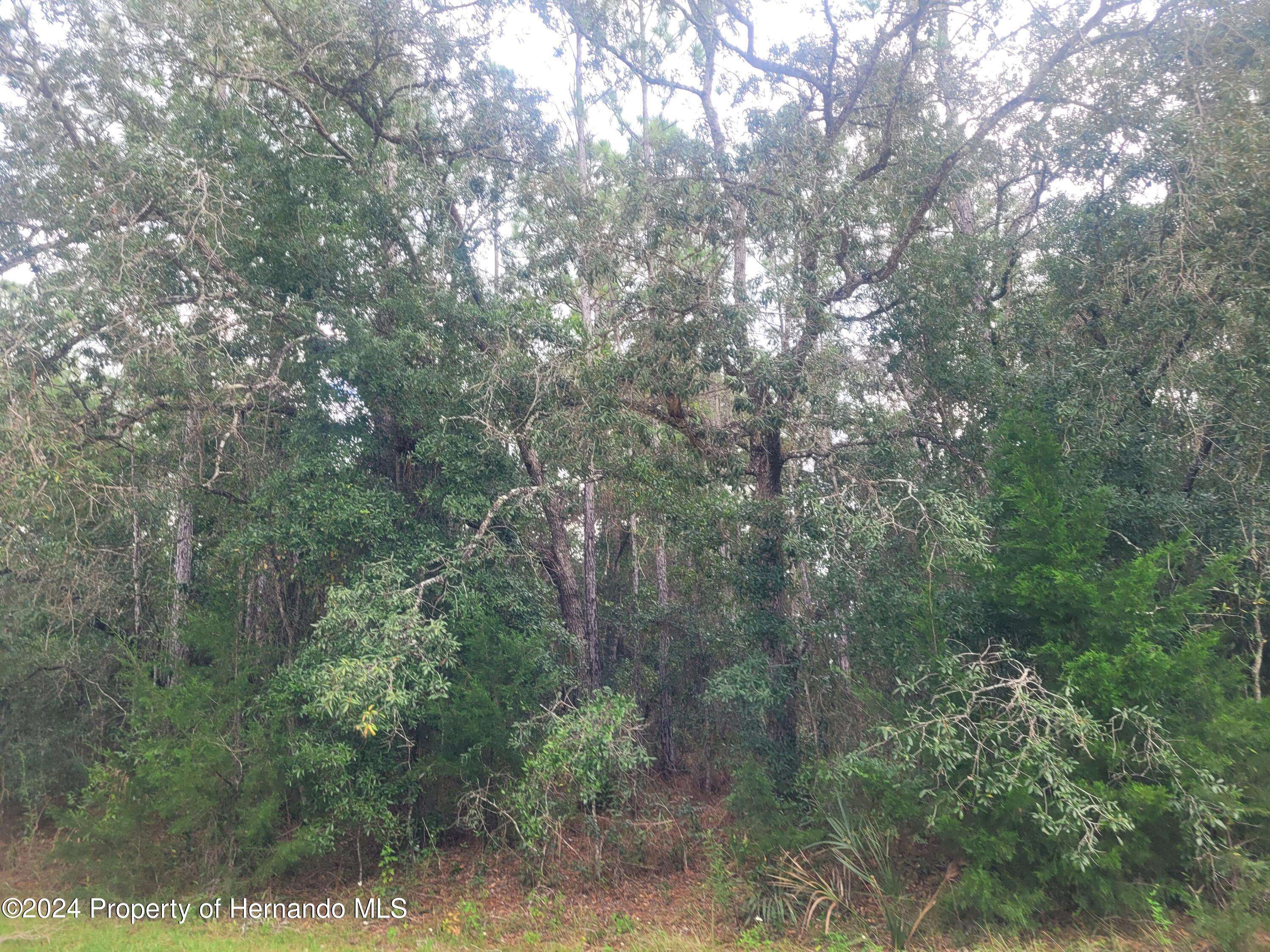 Weeki Wachee, FL 34614,13166 charlton Drive