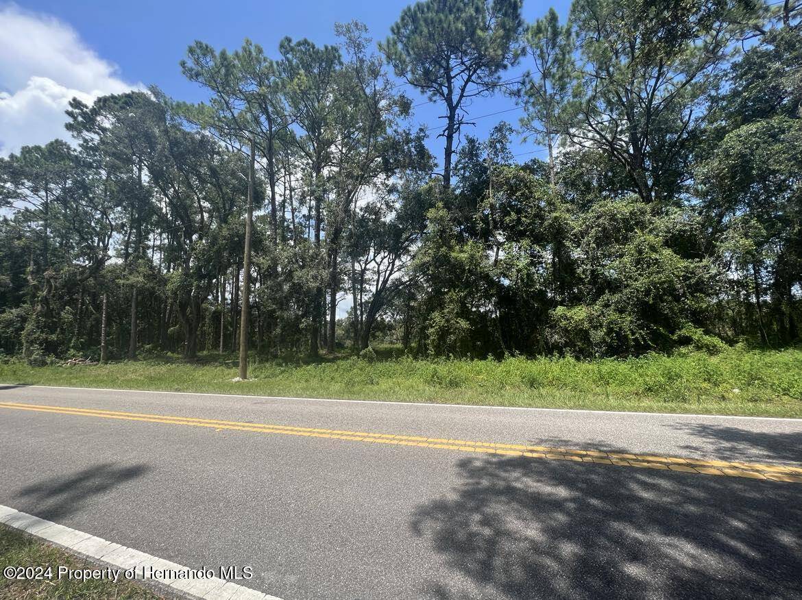 Webster, FL 33597,0 Madonna Drive