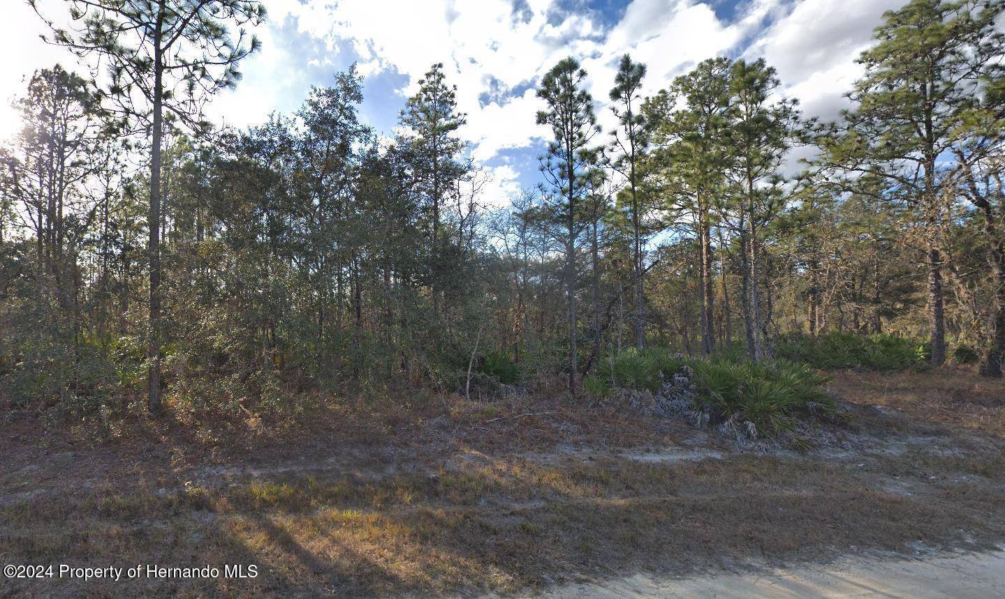 Brooksville, FL 34614,18219 Parakeet Road