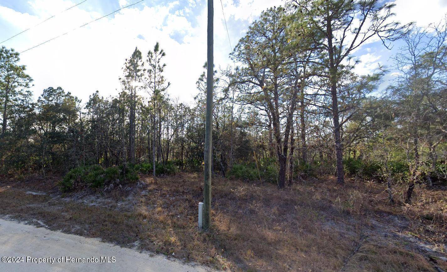 Brooksville, FL 34614,18219 Parakeet Road