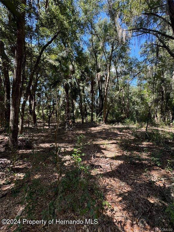 Dunnellon, FL 34433,11916 N Captiva Terrace