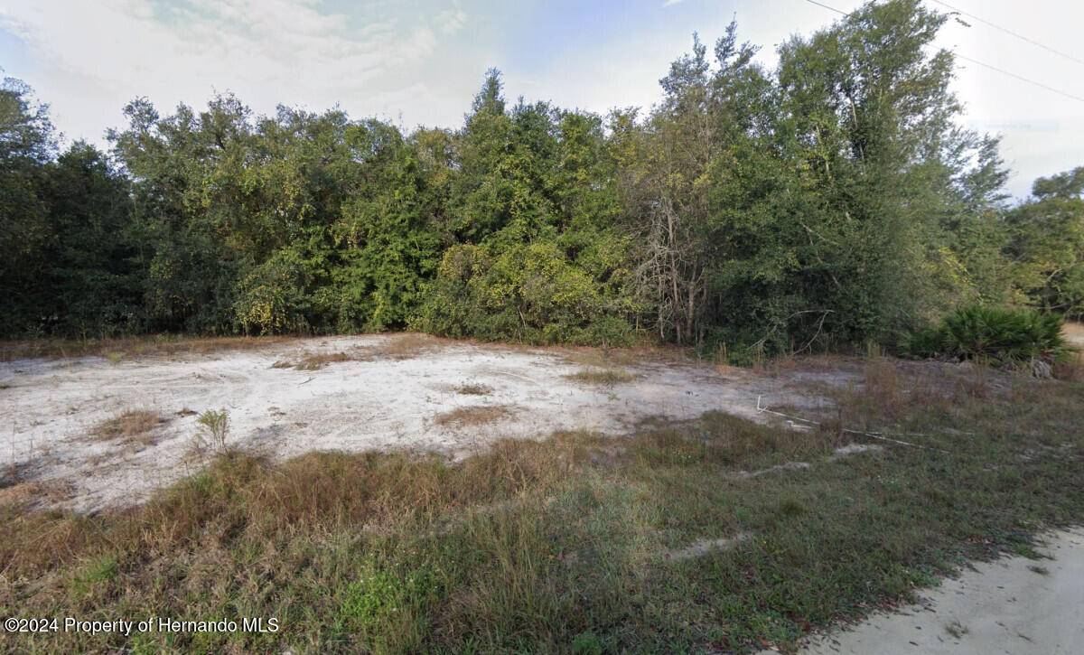 Webster, FL 33597,Native Rock Drive