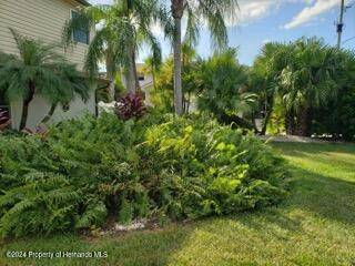 Hernando Beach, FL 34607,3496 gulfview