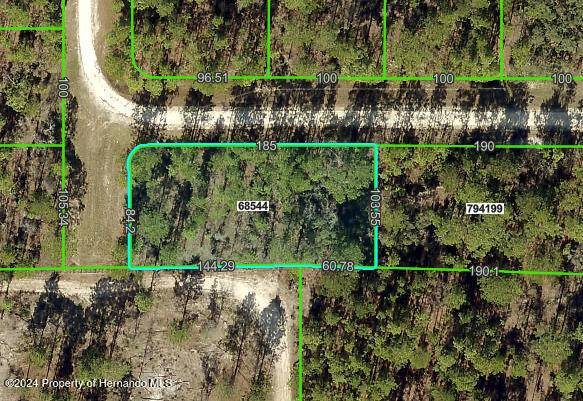 Weeki Wachee, FL 34614,15468 man o war Road