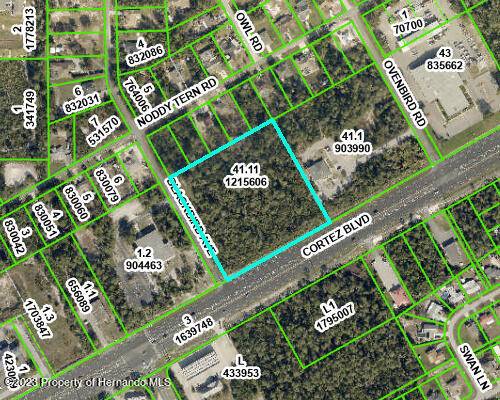 Brooksville, FL 34613,Cortez and Blackbird Boulevard