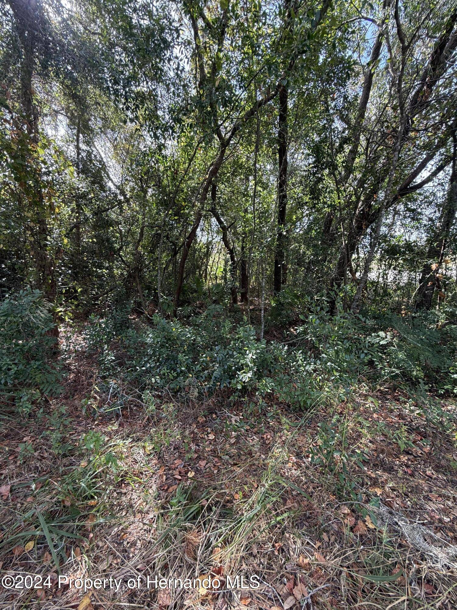 Weeki Wachee, FL 34613,0 Waterbird Way