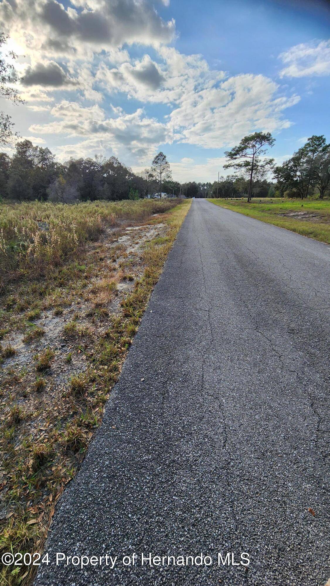 Dunnellon, FL 34431,SE 116 Lane