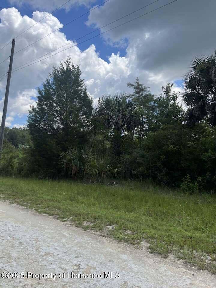 Brooksville, FL 34614,0 Ramsey Road
