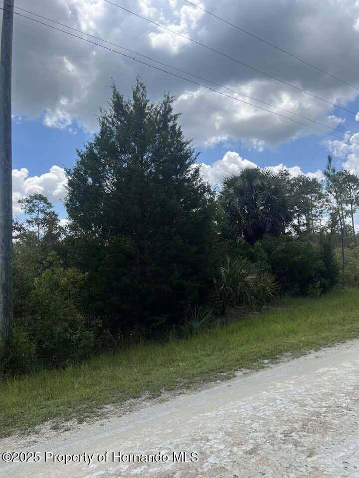 Brooksville, FL 34614,0 Ramsey Road