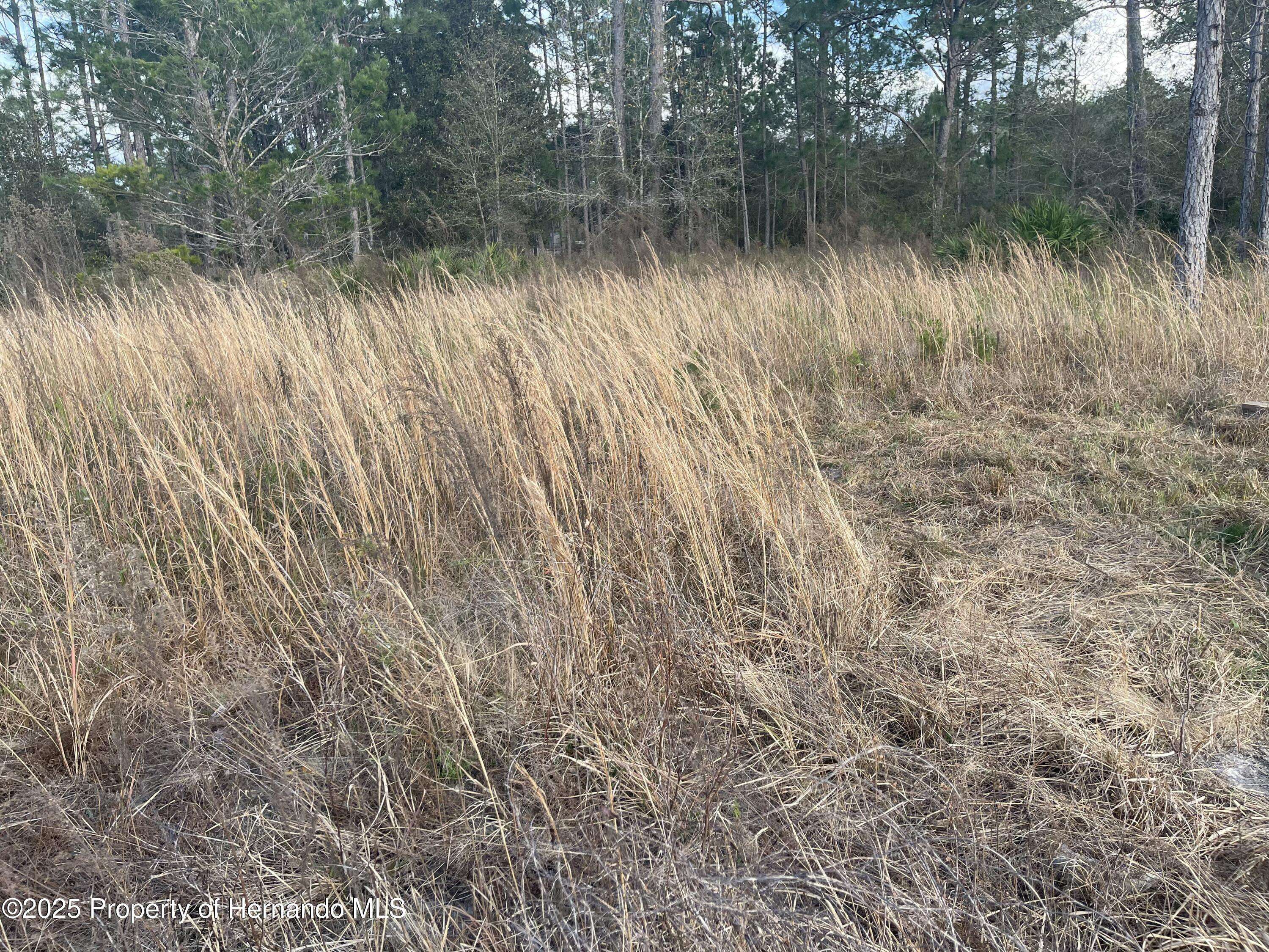 Brooksville, FL 34614,18061 Necklace Warbler Avenue
