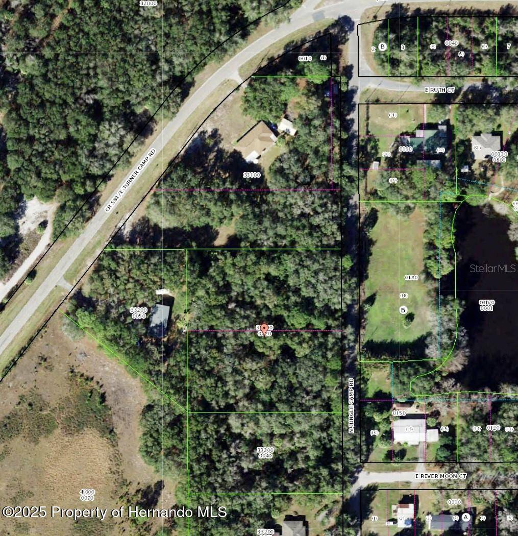 Inverness, FL 34453,2798 N Junglecamp Road