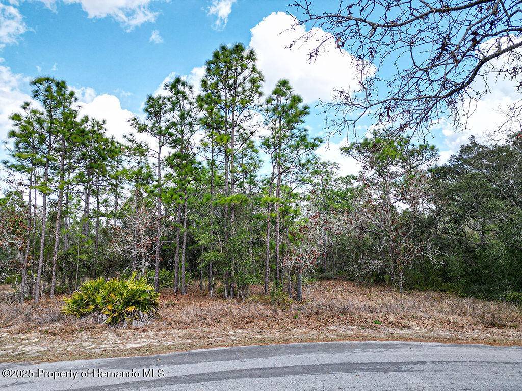 Homosassa, FL 34446,32 Speceberry Circle