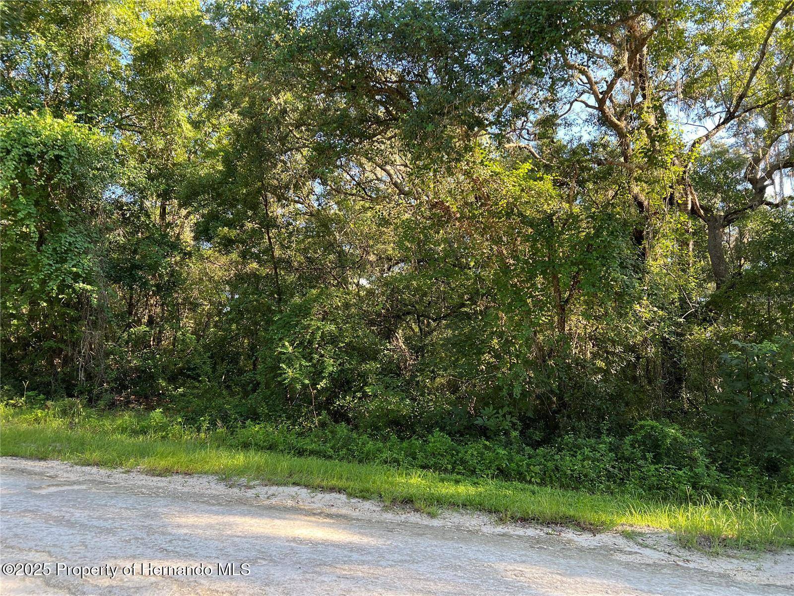 Webster, FL 33597,34085 Arrowrock Street