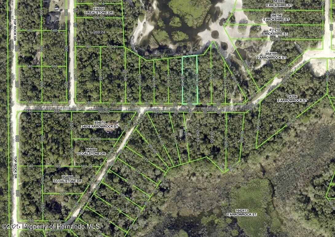 Webster, FL 33597,34085 Arrowrock Street