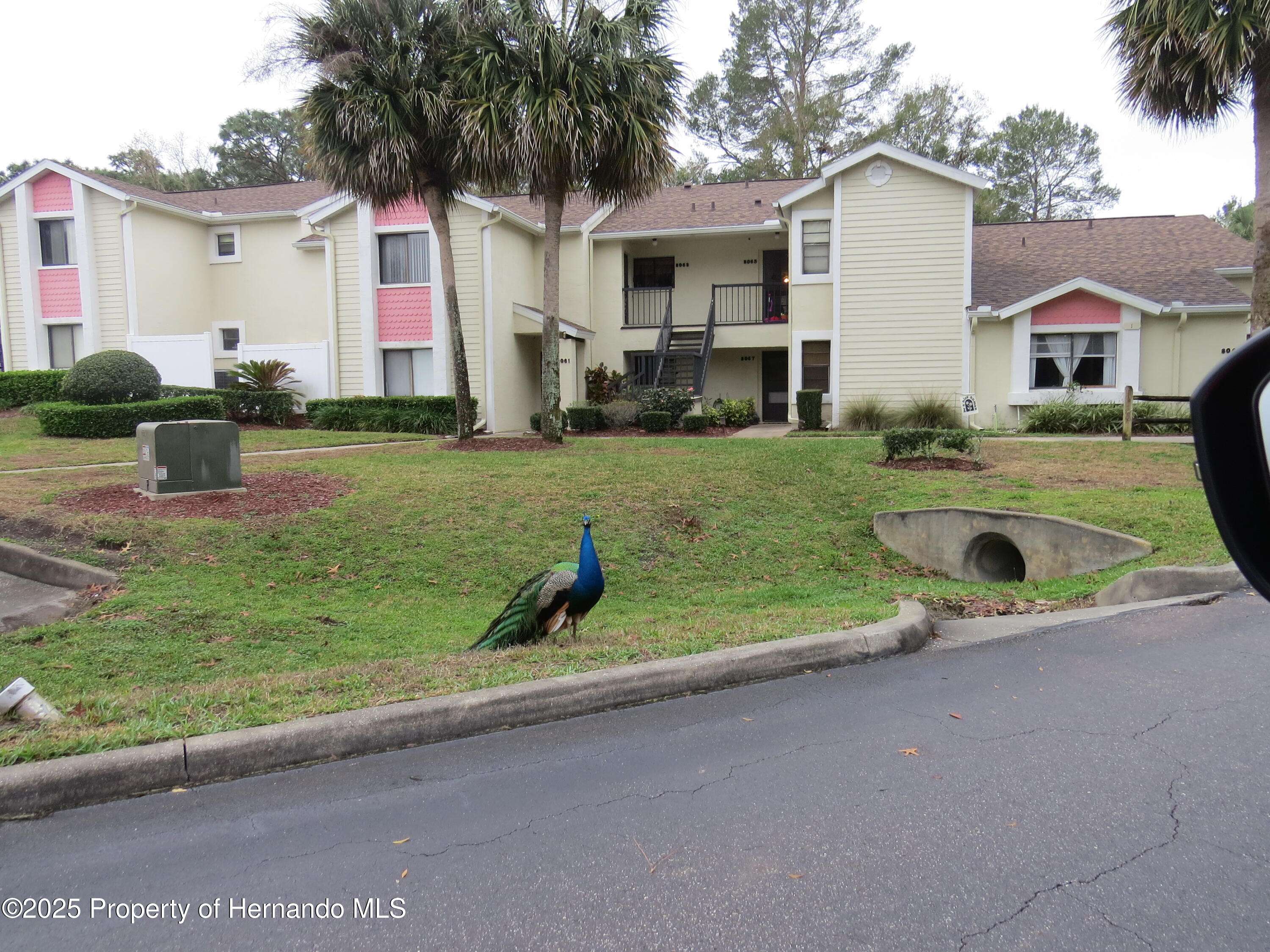 Spring Hill, FL 34613,8055 Picketts Court ##1