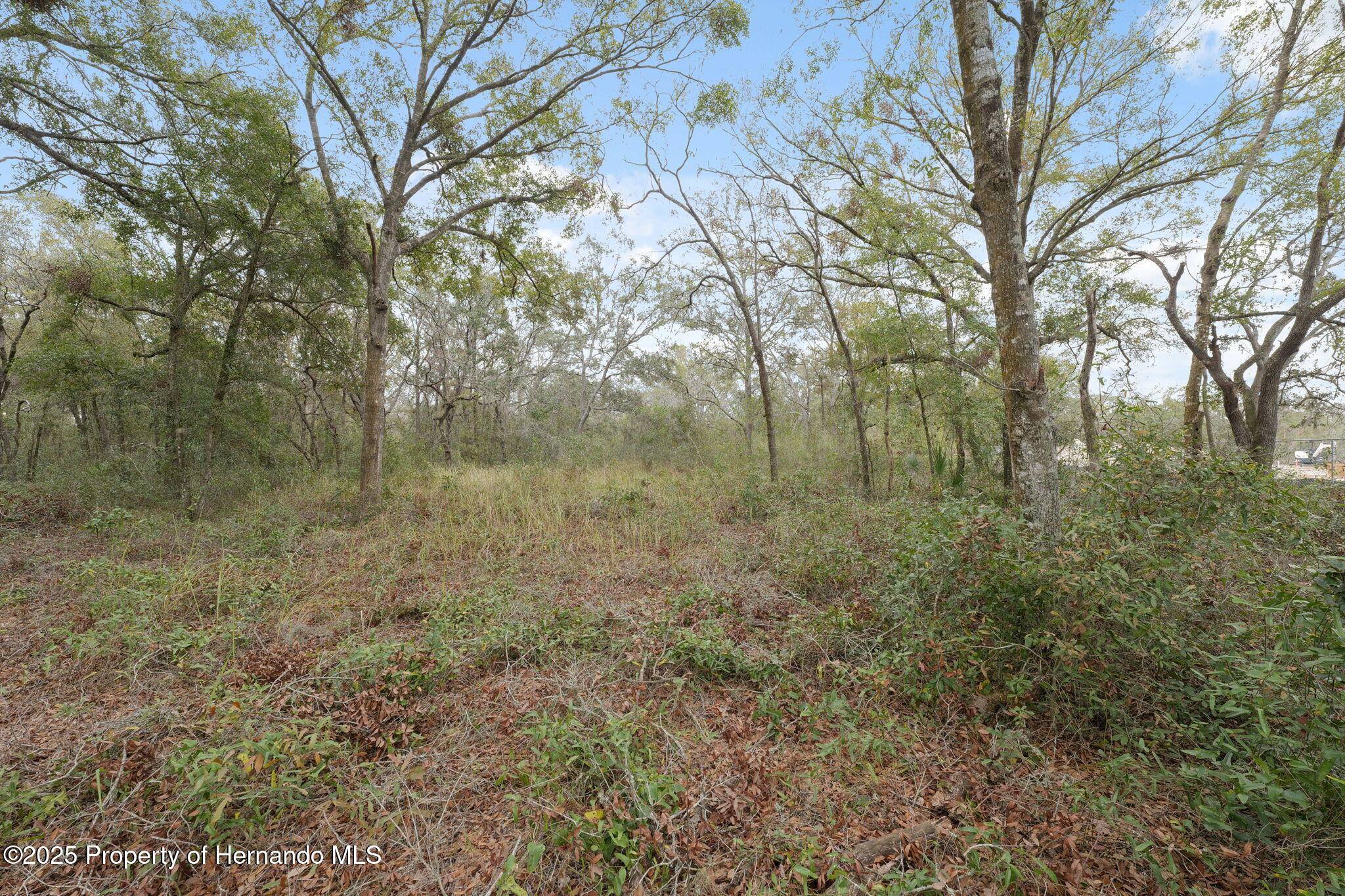 Spring Hill(pasco), FL 34610,16308 Shady Hills Road