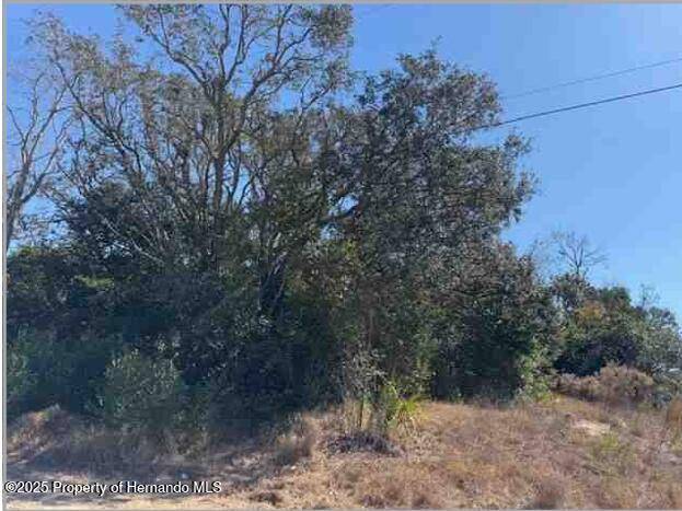 Spring Hill, FL 34608,0 Bedford Road