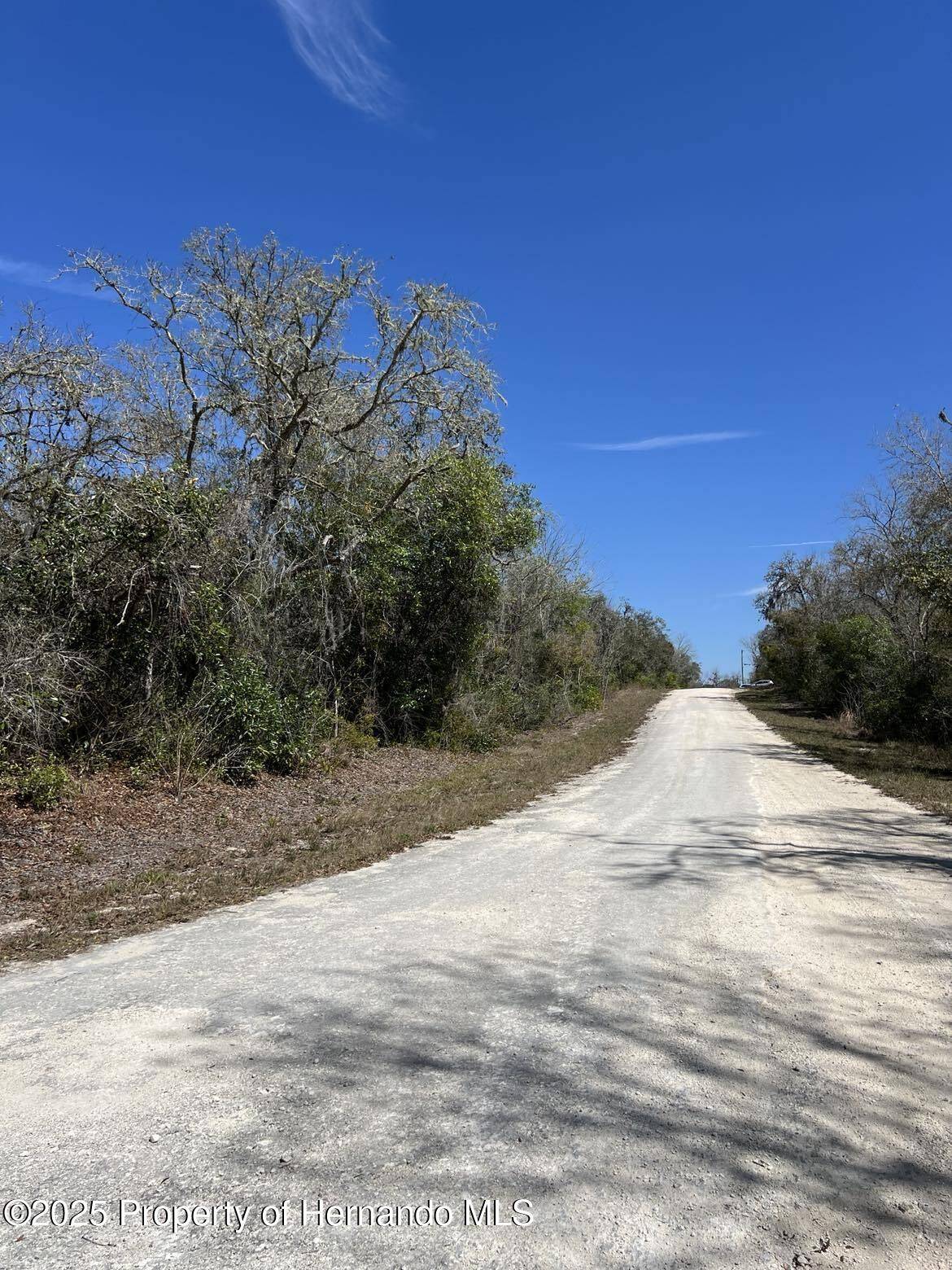 Webster, FL 33597,26 Riverstone Street