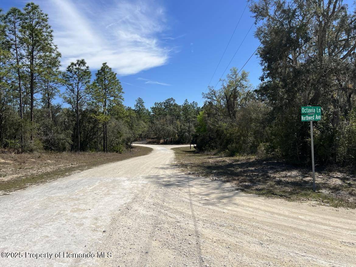 Webster, FL 33597,32 Northwest Avenue