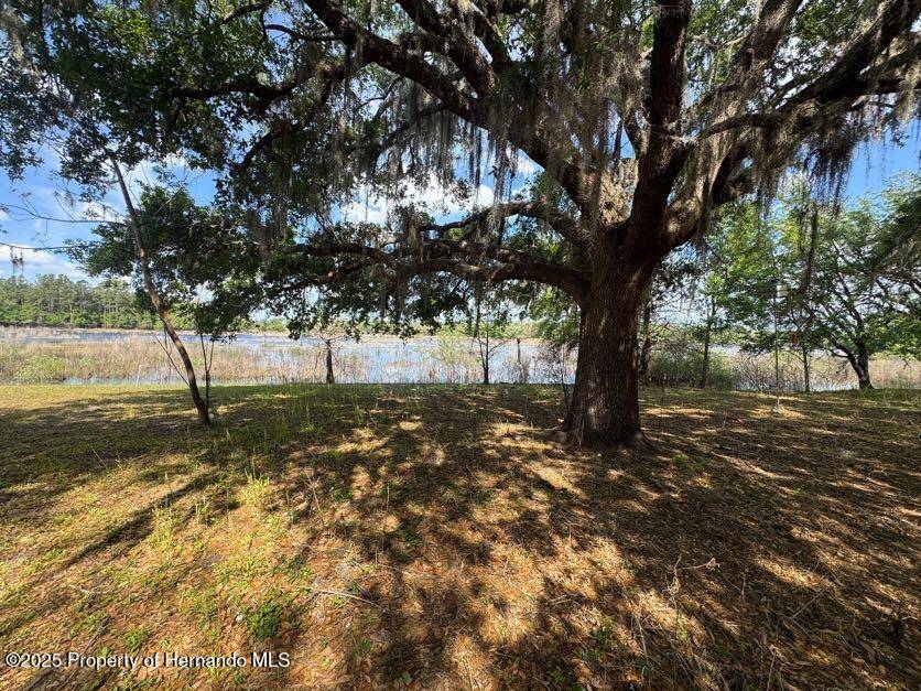 Ridge Manor, FL 33523,4979 Lakewood Drive