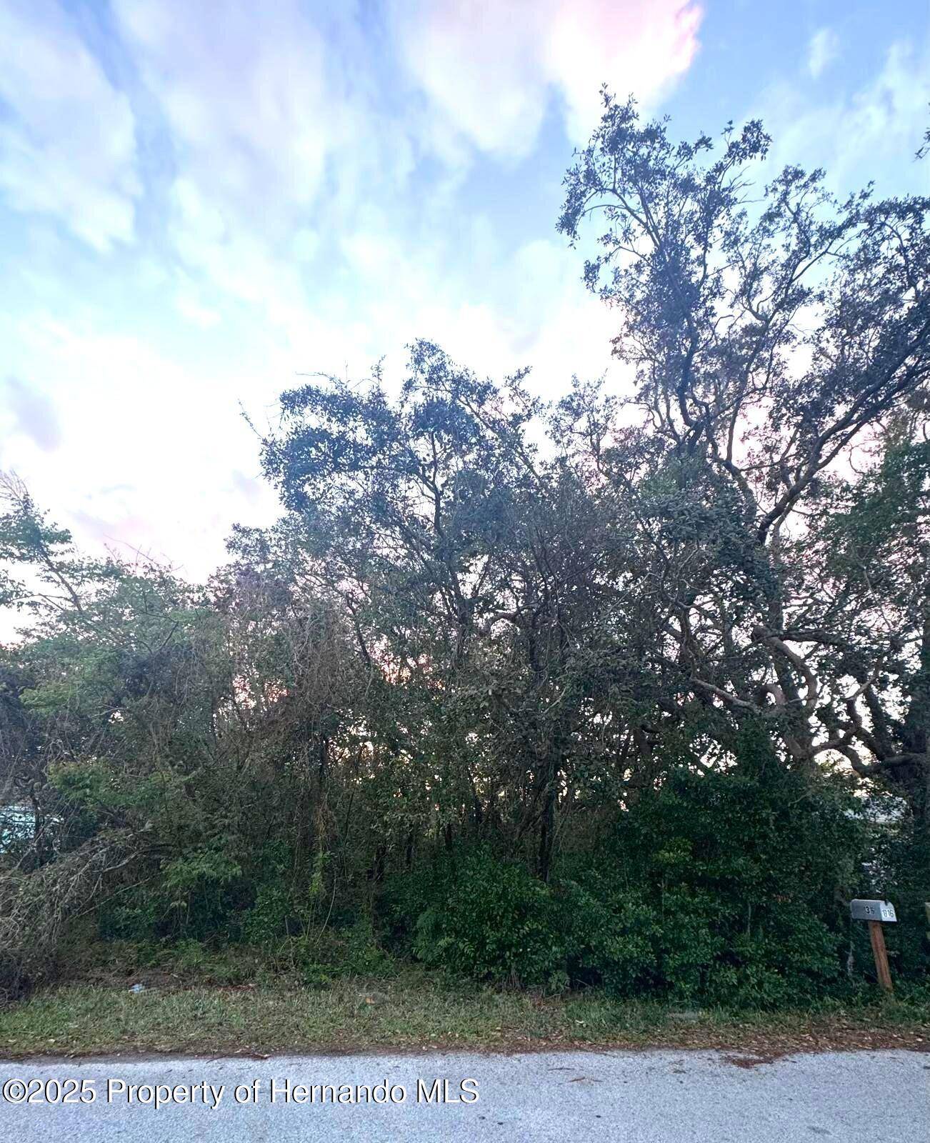 Spring Hill, FL 34606,0 Markham Avenue