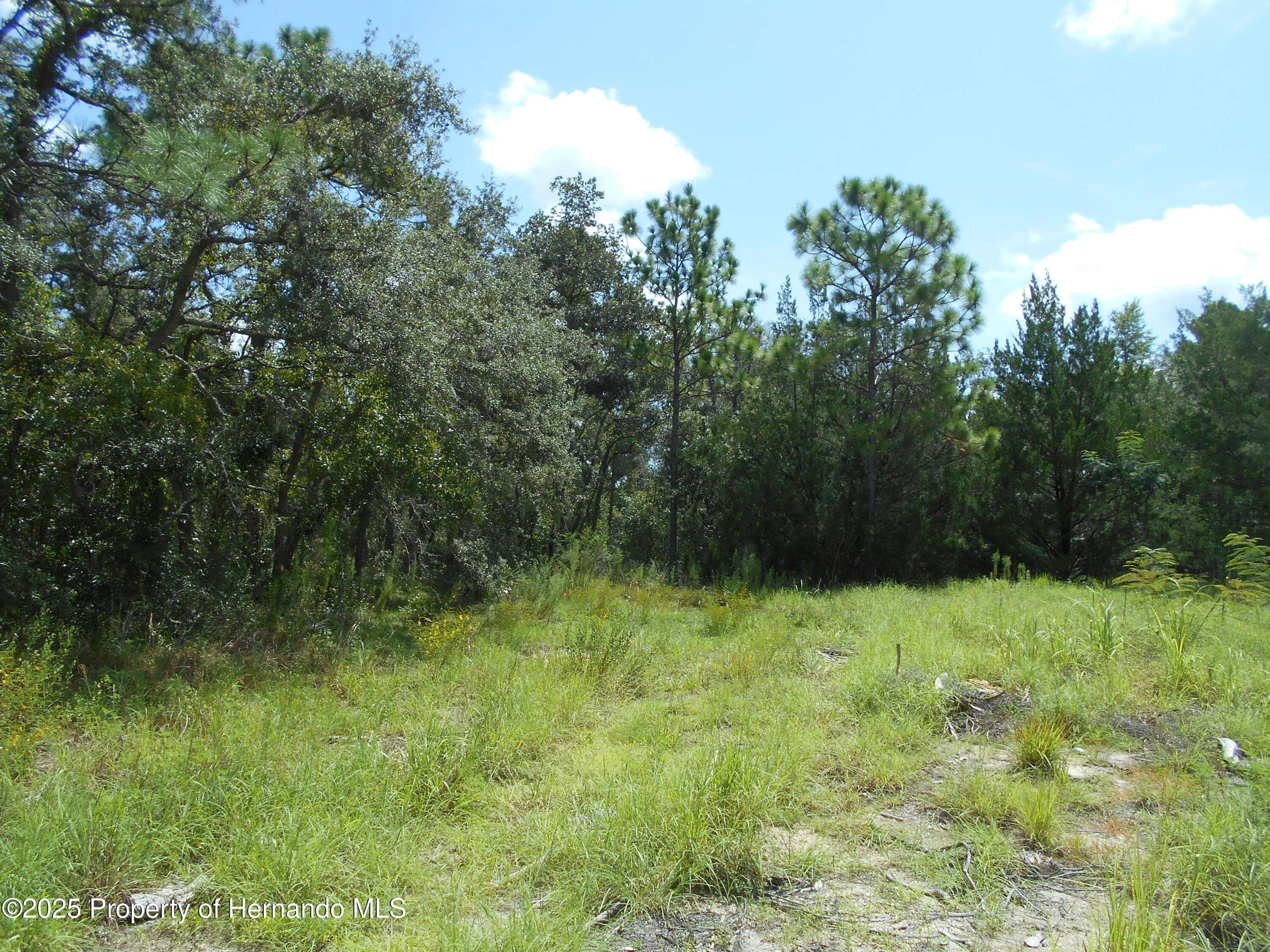 Weeki Wachee, FL 34613,11 Godec Court